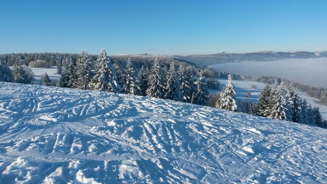WildfleckenKaline 2アパートメント エクステリア 写真